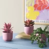 3pk 9.06" Succulent Artificial Plants Pink - Room Essentials™ 2 3pk 9.06" Succulent Artificial Plants Pink - Room Essentials™ -Room Essentials GUEST 00ef684a 5131 4e6a b887 925926f395dc