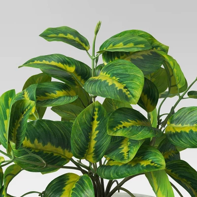 Trailing Prayer Artificial Plant - Room Essentials™ 4 Trailing Prayer Artificial Plant - Room Essentials™ - Image 2