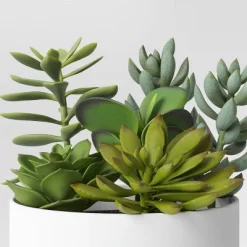 Succulent Arrangement In White Pot - Room Essentials™ -Room Essentials GUEST 29951f6f 2727 45e4 8198 599ff9079500