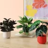 3pk 11.42" Pothos Artificial Plants - Room Essentials™ -Room Essentials GUEST 2acb68c8 fc4d 48bf b120 32a2e00b42d3