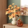 Maple Leaf Stem - Room Essentials™ 2 Maple Leaf Stem - Room Essentials™ -Room Essentials GUEST 34e88d29 9f66 439f a379 6df52f0a516d