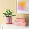 2pk Magnetic Lidded Decorative Boxes Pink - Room Essentials™ -Room Essentials GUEST 3b603096 bf95 4500 83fb e4d76ca08cf6