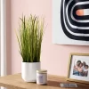 Grass Potted Artificial Plant - Room Essentials™ -Room Essentials GUEST 3fcd3608 2e6d 44fa be71 67b594f1de03