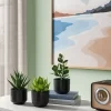 Succulent Artificial In Black Pot - Room Essentials™ -Room Essentials GUEST 4ac99444 ec3d 45f7 b016 441bb078726c