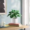 4.6"x7.2" Monstera Artificial Plant - Room Essentials™ 2 4.6"x7.2" Monstera Artificial Plant - Room Essentials™ -Room Essentials GUEST 5c2c6452 3a10 438d a559 ecebfb12c328