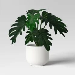 Core Plant Multipack In White Pot - Room Essentials™ -Room Essentials GUEST 87daa1fd 2e72 41a8 be61 554c95f53ec4