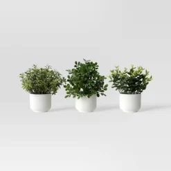 Herb Artificial Plant In White Pot - Room Essentials™ -Room Essentials GUEST 8f8cad37 de5b 41b2 926d 65320c060021
