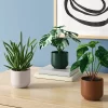 3pk 7.87" Monstera Artificial Plants - Room Essentials™ -Room Essentials GUEST ba693c8c 4de0 4609 af83 c774067a54c0