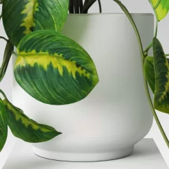 Trailing Prayer Artificial Plant - Room Essentials™ 7 Trailing Prayer Artificial Plant - Room Essentials™ -Room Essentials GUEST d8ed9869 ac8b 4597 9abc cafd2f3469ed